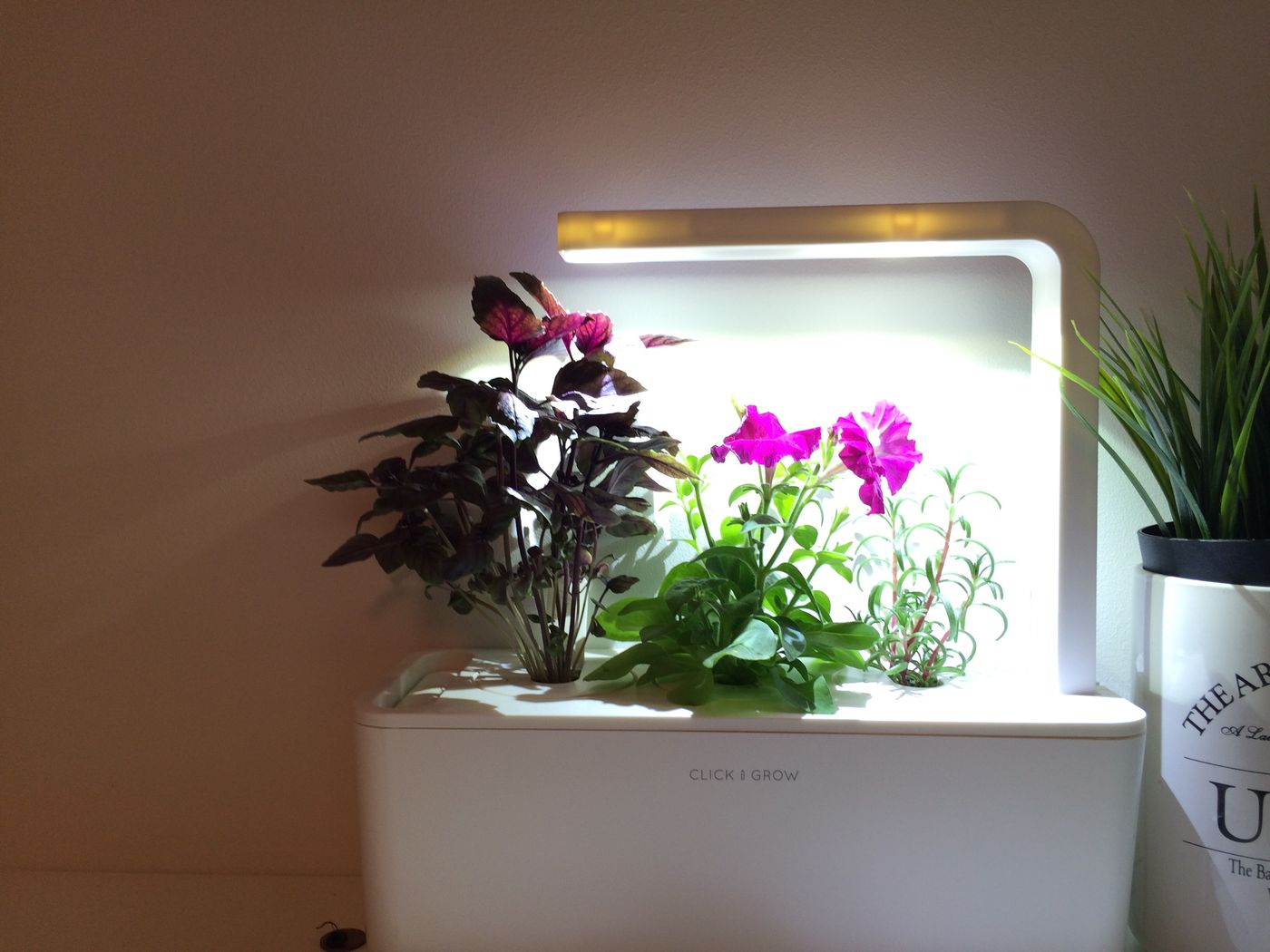 Click & Grow Smart Garden with herbs under a built-in LED