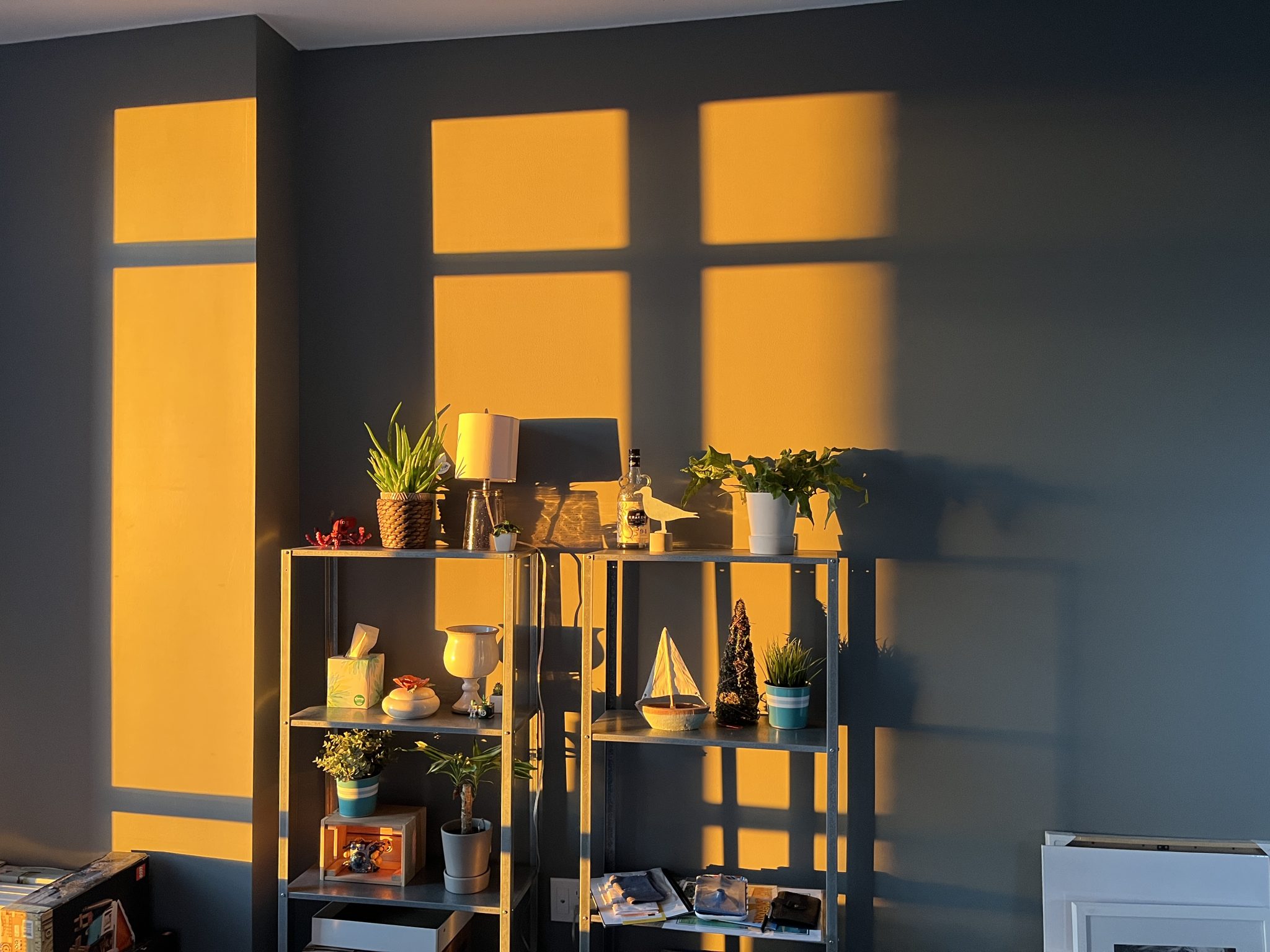 Apartment plant corner — no wall mounts