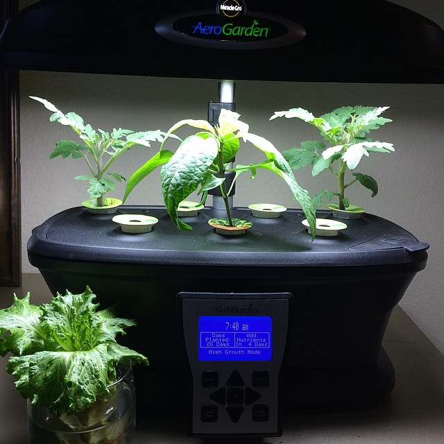 AeroGarden countertop hydroponic kit growing vegetables under LED light